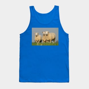 Curious Lleyn Sheep Tank Top